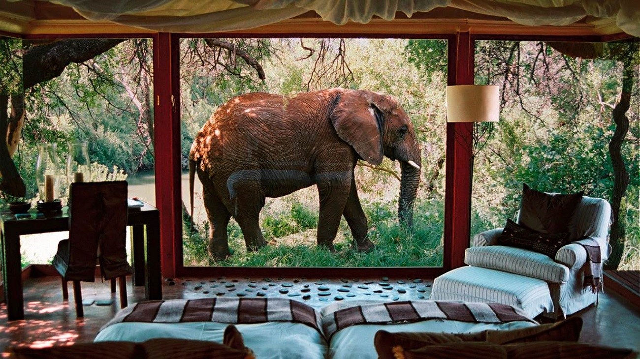 Tanzania Safari From South Africa Lodge